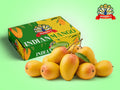Indian Mango - Alphonso (BIG BOX)