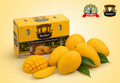 Indian Mango- Banganapalle